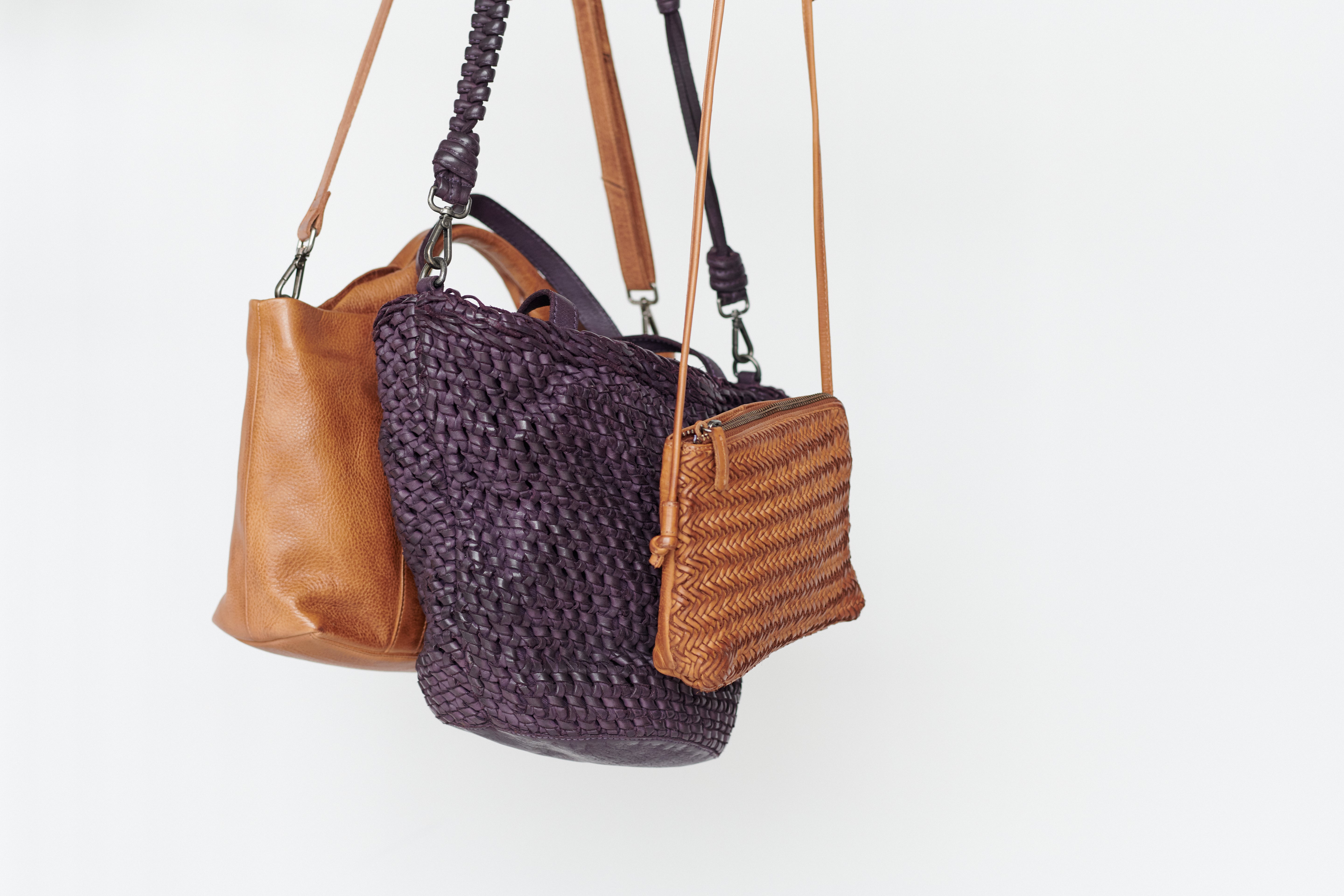 Fall Color Favorites