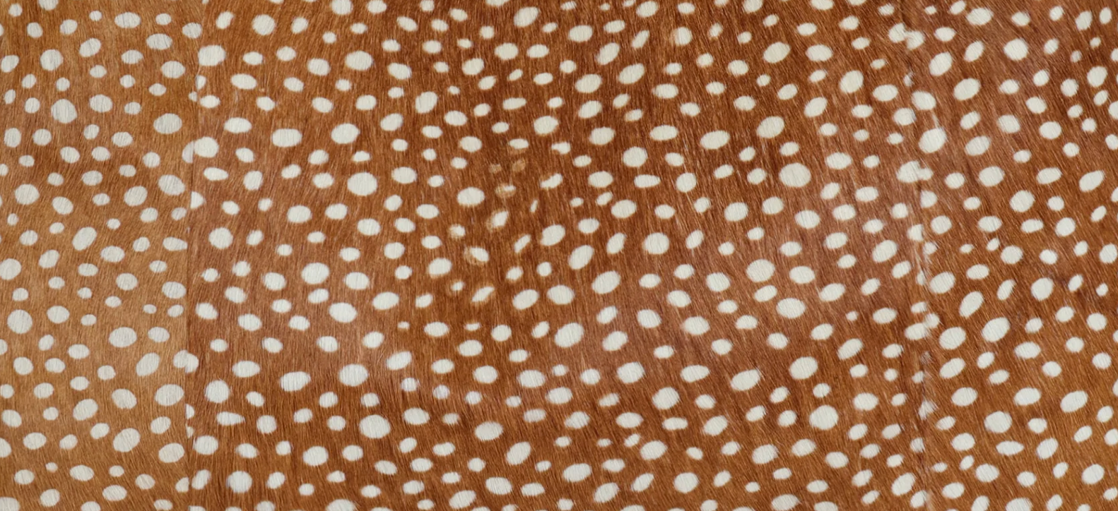 Brown Hair-On Leather Handbags